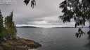 ./images/koeye/fitz-hugh/20250616/fitz-hugh20250616_123012M.jpg