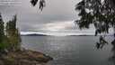 ./images/koeye/fitz-hugh/20250616/fitz-hugh20250616_123509M.jpg