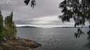 ./images/koeye/fitz-hugh/20250616/fitz-hugh20250616_124010M.jpg
