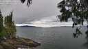 ./images/koeye/fitz-hugh/20250616/fitz-hugh20250616_125509M.jpg
