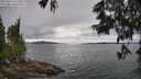 ./images/koeye/fitz-hugh/20250616/fitz-hugh20250616_131511M.jpg