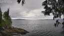 ./images/koeye/fitz-hugh/20250616/fitz-hugh20250616_132008M.jpg