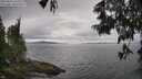 ./images/koeye/fitz-hugh/20250616/fitz-hugh20250616_132509M.jpg