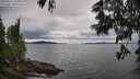 ./images/koeye/fitz-hugh/20250616/fitz-hugh20250616_133012M.jpg