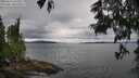 ./images/koeye/fitz-hugh/20250616/fitz-hugh20250616_133511M.jpg