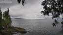 ./images/koeye/fitz-hugh/20250616/fitz-hugh20250616_134009M.jpg
