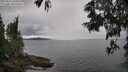 ./images/koeye/fitz-hugh/20250616/fitz-hugh20250616_134510M.jpg