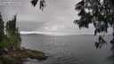 ./images/koeye/fitz-hugh/20250616/fitz-hugh20250616_135510M.jpg