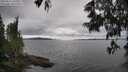 ./images/koeye/fitz-hugh/20250616/fitz-hugh20250616_140511M.jpg