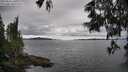 ./images/koeye/fitz-hugh/20250616/fitz-hugh20250616_141009M.jpg