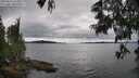 ./images/koeye/fitz-hugh/20250616/fitz-hugh20250616_143011M.jpg