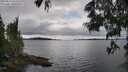 ./images/koeye/fitz-hugh/20250616/fitz-hugh20250616_143510M.jpg