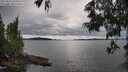 ./images/koeye/fitz-hugh/20250616/fitz-hugh20250616_144510M.jpg