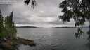 ./images/koeye/fitz-hugh/20250616/fitz-hugh20250616_145011M.jpg