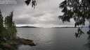 ./images/koeye/fitz-hugh/20250616/fitz-hugh20250616_145509M.jpg