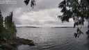 ./images/koeye/fitz-hugh/20250616/fitz-hugh20250616_150508M.jpg