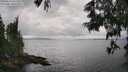 ./images/koeye/fitz-hugh/20250616/fitz-hugh20250616_151512M.jpg