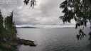 ./images/koeye/fitz-hugh/20250616/fitz-hugh20250616_152010M.jpg