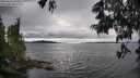 ./images/koeye/fitz-hugh/20250616/fitz-hugh20250616_155011M.jpg