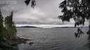./images/koeye/fitz-hugh/20250616/fitz-hugh20250616_155510M.jpg