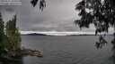 ./images/koeye/fitz-hugh/20250616/fitz-hugh20250616_161010M.jpg