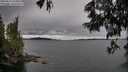 ./images/koeye/fitz-hugh/20250616/fitz-hugh20250616_164010M.jpg