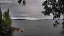 ./images/koeye/fitz-hugh/20250616/fitz-hugh20250616_164510M.jpg