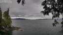 ./images/koeye/fitz-hugh/20250616/fitz-hugh20250616_165009M.jpg