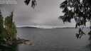 ./images/koeye/fitz-hugh/20250616/fitz-hugh20250616_170510M.jpg