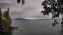 ./images/koeye/fitz-hugh/20250616/fitz-hugh20250616_171010M.jpg