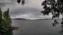 ./images/koeye/fitz-hugh/20250616/fitz-hugh20250616_173510M.jpg