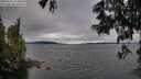 ./images/koeye/fitz-hugh/20250616/fitz-hugh20250616_174010M.jpg