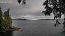 ./images/koeye/fitz-hugh/20250616/fitz-hugh20250616_174510M.jpg