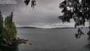 ./images/koeye/fitz-hugh/20250616/fitz-hugh20250616_175010M.jpg