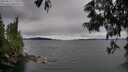 ./images/koeye/fitz-hugh/20250616/fitz-hugh20250616_175509M.jpg