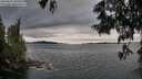 ./images/koeye/fitz-hugh/20250616/fitz-hugh20250616_184510M.jpg
