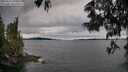 ./images/koeye/fitz-hugh/20250616/fitz-hugh20250616_190010M.jpg