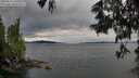 ./images/koeye/fitz-hugh/20250616/fitz-hugh20250616_193509M.jpg
