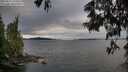./images/koeye/fitz-hugh/20250616/fitz-hugh20250616_194508M.jpg