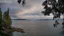./images/koeye/fitz-hugh/20250616/fitz-hugh20250616_203010M.jpg