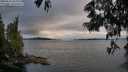./images/koeye/fitz-hugh/20250616/fitz-hugh20250616_203509M.jpg