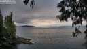 ./images/koeye/fitz-hugh/20250616/fitz-hugh20250616_204009M.jpg