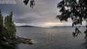 ./images/koeye/fitz-hugh/20250616/fitz-hugh20250616_204508M.jpg