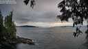 ./images/koeye/fitz-hugh/20250616/fitz-hugh20250616_205009M.jpg