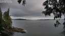 ./images/koeye/fitz-hugh/20250616/fitz-hugh20250616_213505M.jpg