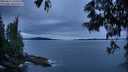 ./images/koeye/fitz-hugh/20250616/fitz-hugh20250616_220509M.jpg