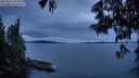 ./images/koeye/fitz-hugh/20250616/fitz-hugh20250616_221008M.jpg