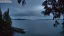 ./images/koeye/fitz-hugh/20250616/fitz-hugh20250616_222009M.jpg
