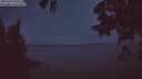 ./images/koeye/fitz-hugh/20250617/fitz-hugh20250617_042508M.jpg