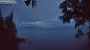 ./images/koeye/fitz-hugh/20250617/fitz-hugh20250617_043509M.jpg